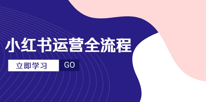 小紅書運營全流程，爆款選題文案，視頻制作技巧，進階達人寶典