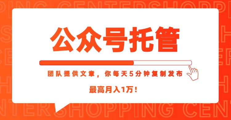 【公眾號托管 】我提供文章，你每天５分鐘復(fù)制發(fā)布，最高月入1W